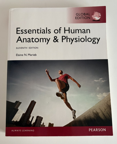 Essentials human anatomy - of, &