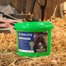 Global Herbs Globalvite 3 KG