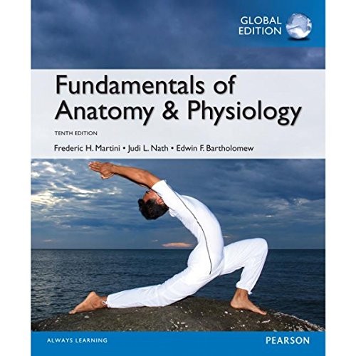 Fundamentals anatomy - of,