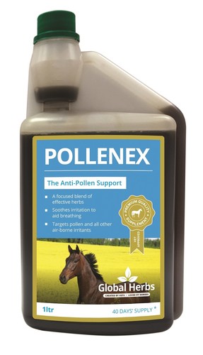 Global herbs pollenex syrup - global,