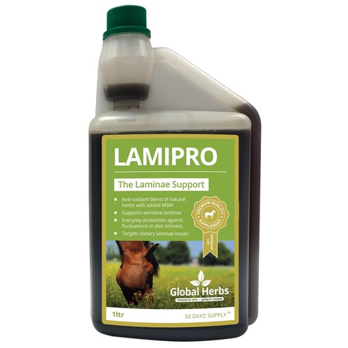 Global herbs laminitis prone - global,