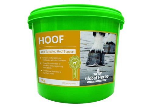 Global herbs hoof 1kg - global,